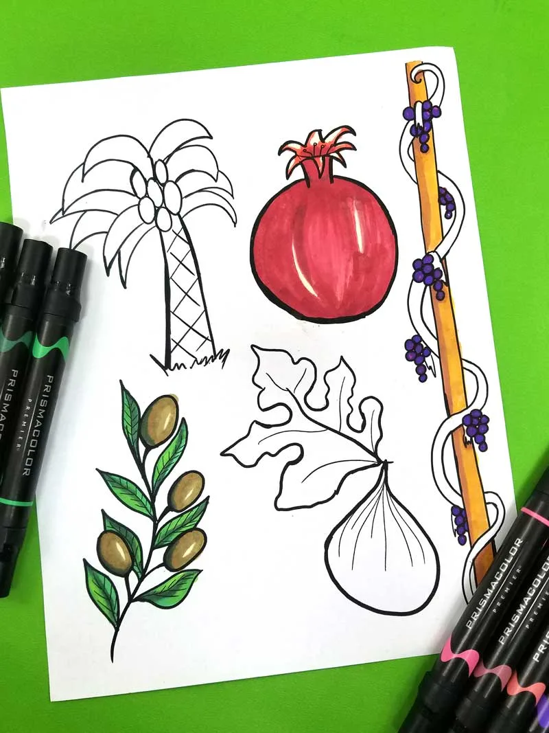 This beautiful fruit coloring page for adults and kids features the five fruit that Israel is blessed with! This Tu BeShvat coloring page is perfect for adults, kids, and tweens to celebrate the Jewish holiday of Tu B'shvat! It's got a pomegranate, fig, olive branch, grape vine, and date palm and is a perfect Jewish craft and colouring page for all ages! #coloringpages #jewishcrafts #tubeshvat