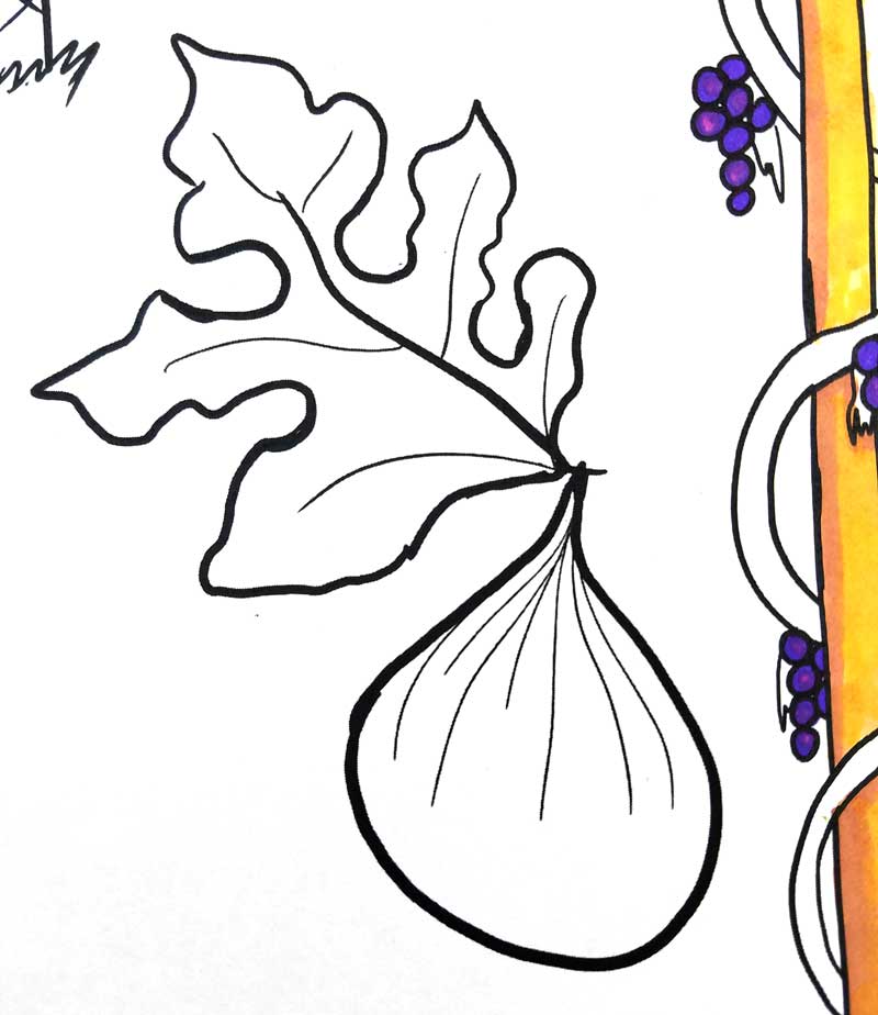 fig tree coloring pages