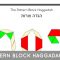 Free Printable Pattern Blocks Haggadah for kids - Jewish Moms &amp; Crafters