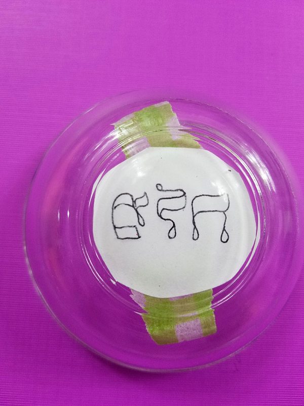 Passover Salt Water Dish Craft Jewish Moms & Crafters