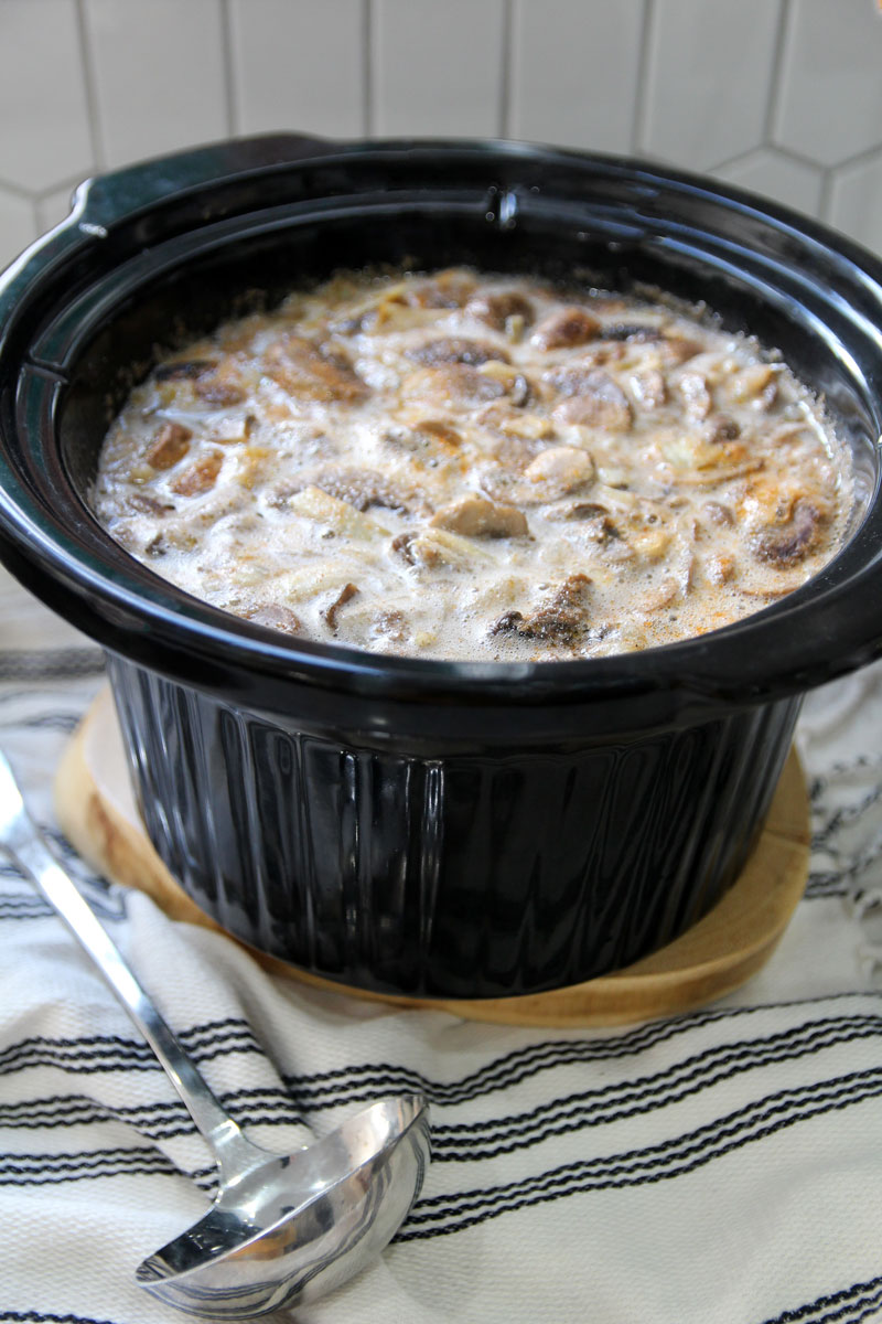 https://jewish.momsandcrafters.com/wp-content/uploads/2022/01/crock-pot-mushroom-barley-soup-finalcp5.jpg.webp