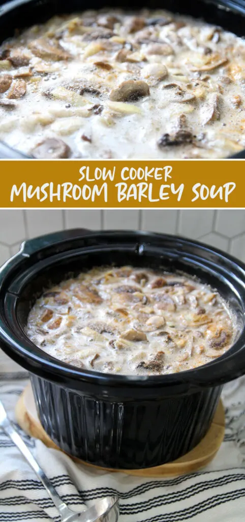 Slow cooker mushroom barley soup hero image