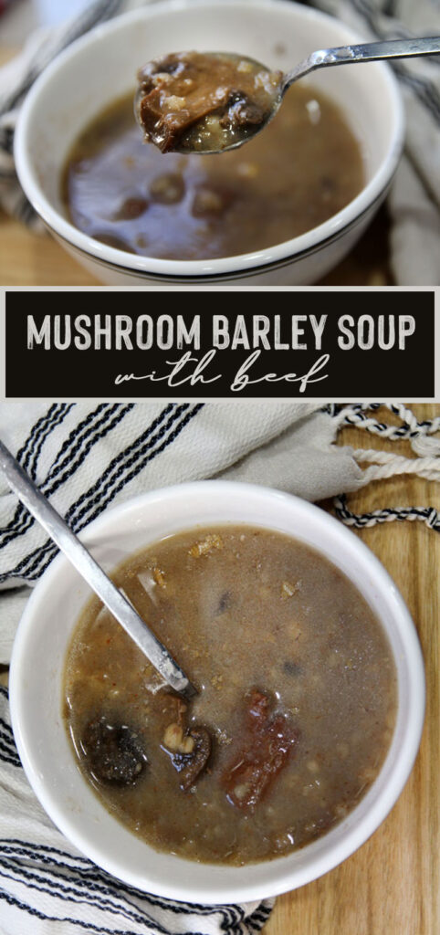Crock Pot Mushroom Barley Soup - Jewish Moms & Crafters