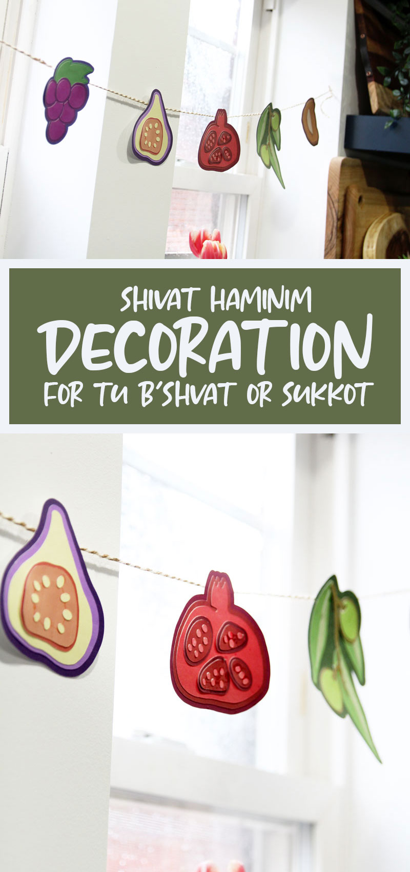 Create a cool shivat haminim fruit garland. This Jewish SVG cut file is one of my favorite Jewish crafts