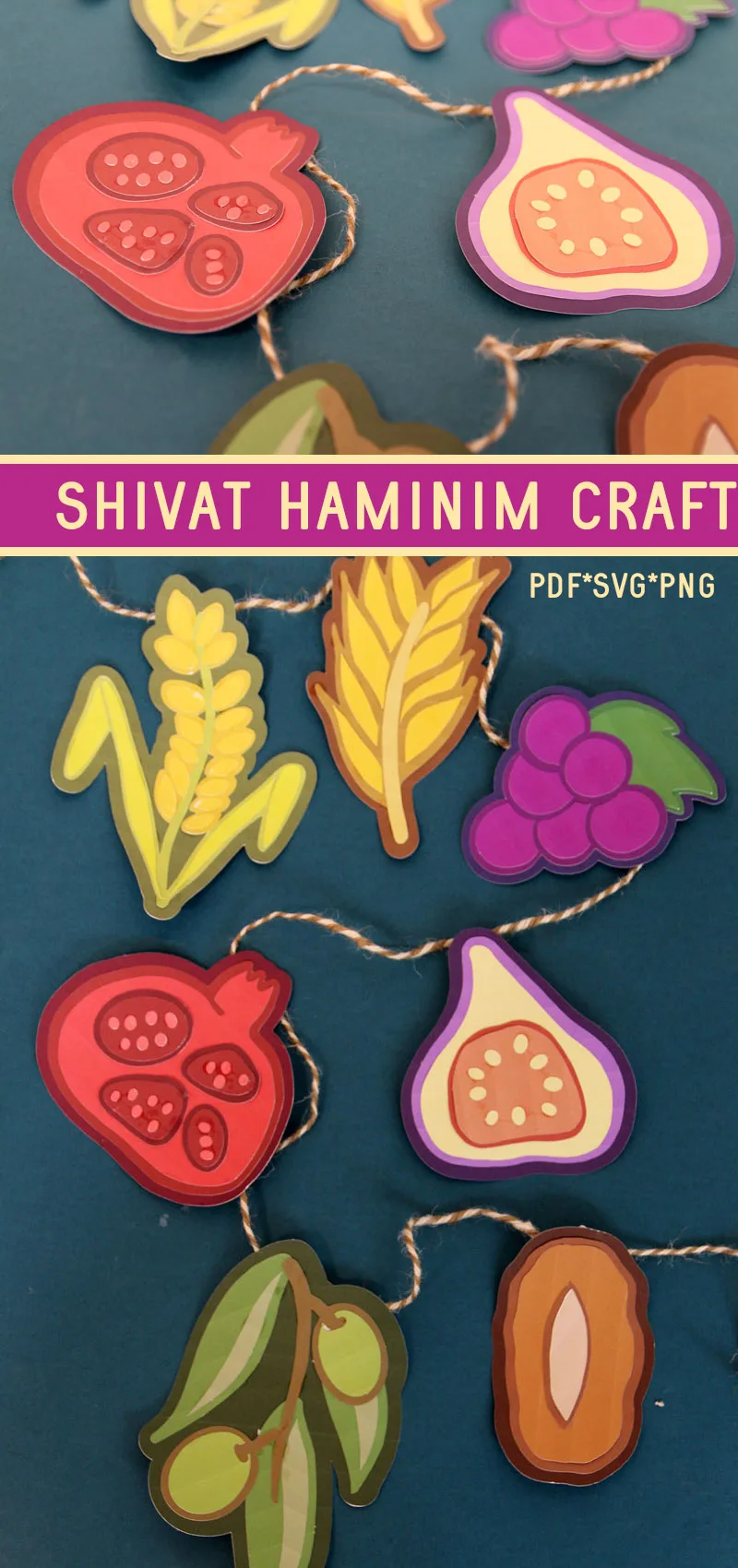 Craft a DIY Sukkah decoration and shivat haminim craft for Tu b'shvat. This Jewish SVG file and one of my favorite Jewish Cricut projects