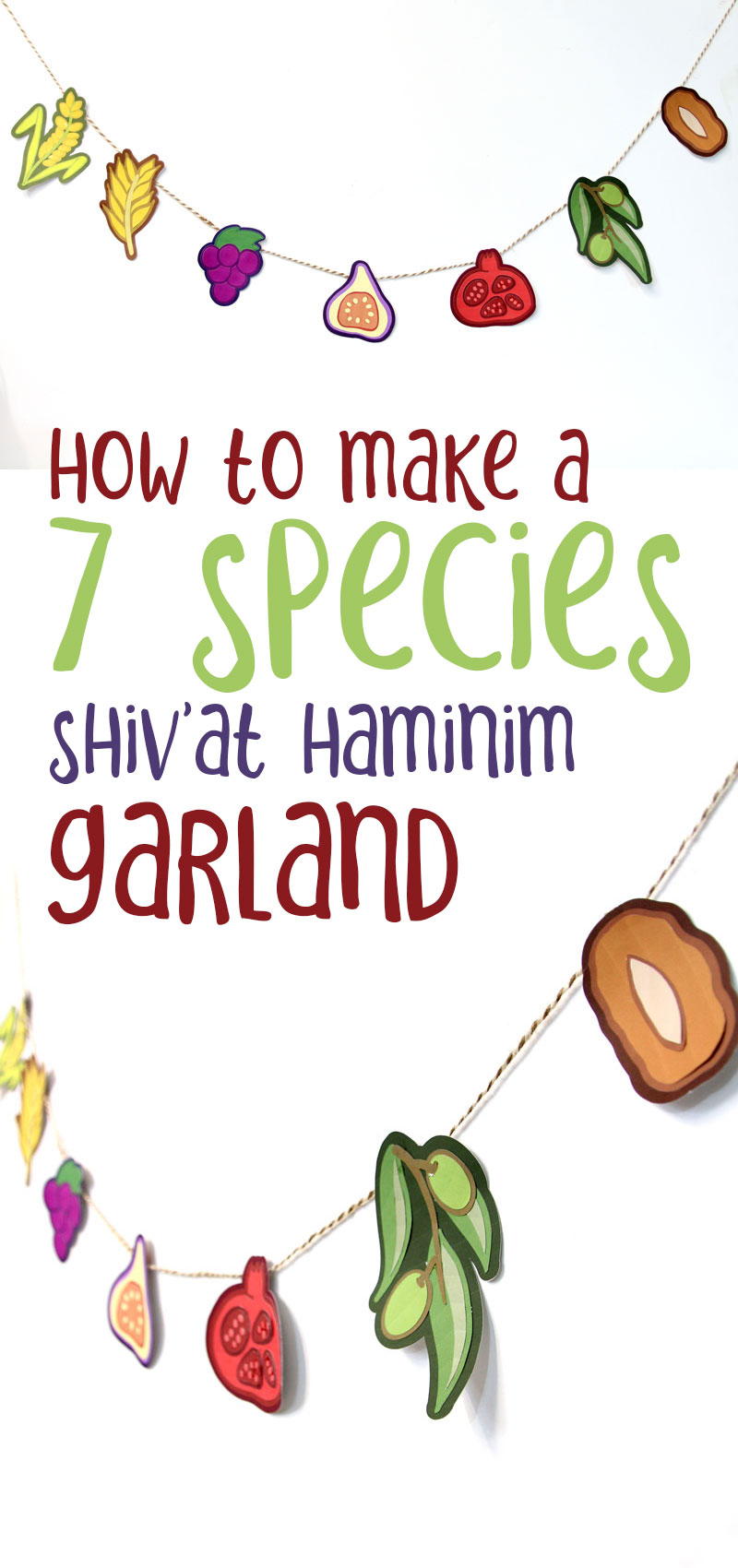Make this seven specieas of Israel craft - a cool fruit garland - as a cool tu b'shvat craft for kids or a paper craft sukkah decoration
