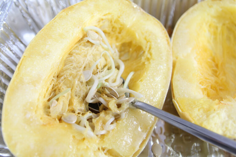 Savory Spaghetti Squash Kugel Recipe Jewish Moms & Crafters