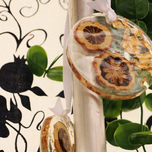 Resin Etrog Suncatcher – Sukkah Decoration