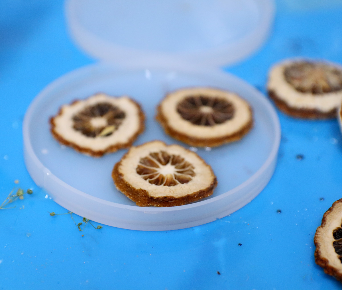 placing the small etrog in the resin 